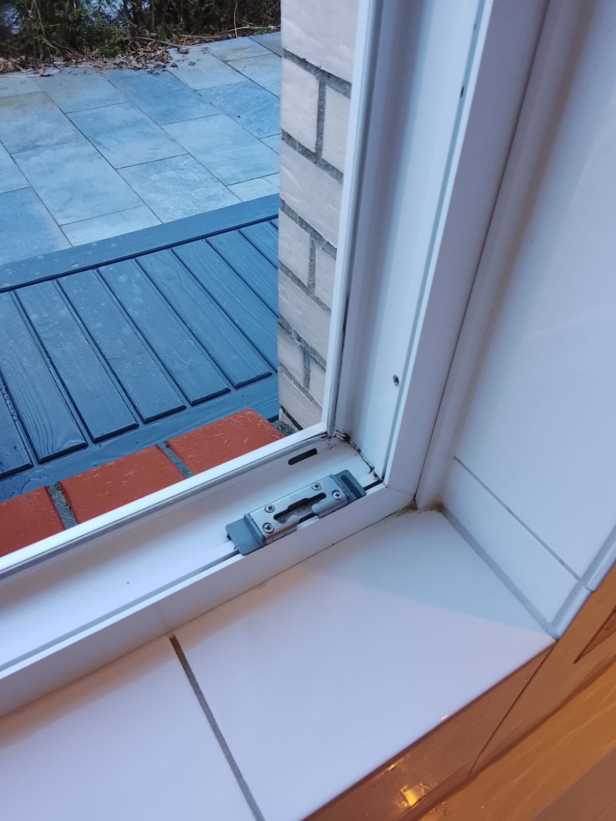 Professionelle Fensterreinigung